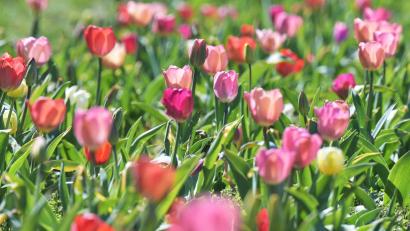 Bild: Malin Wunderlich/dpa
Das Wetter in Bayern soll frühlingshaft bleiben. (Archivbild)