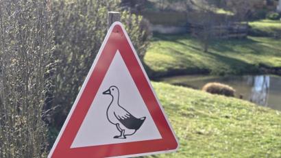 Bildquelle: privat
Ein nicht amtliches Verkehrszeichen „Freilaufende Ente“ wurde in Großalbershof gestohlen.