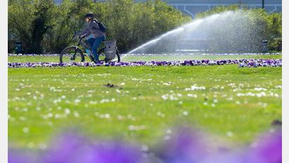 Bild: Sven Hoppe/dpa
Ein Wettermix aus Sonne, Wolken sagt der Deutsche Wetterdienst für die nächsten Tage voraus. (Archivfoto)