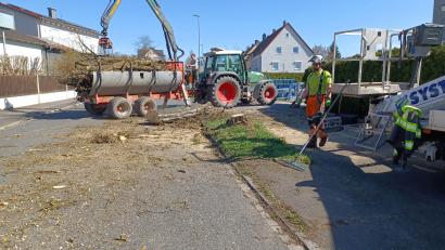 Bild: Thomas Penzkofer
Die Robinie in der Katharinenfriedhofstraße in Amberg wurde aus Sicherheitsgründen gefällt.