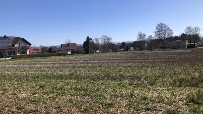 Bild: wro
Auf der aktuell noch unbebauten Fläche im Süden der Marktgemeinde Fuchsmühl soll ein Betriebsgebäude entstehen.