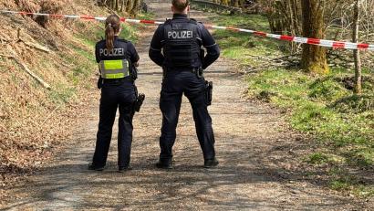 Symbolbild: Berthold Stamm/dpa
Ein Missverständnis führte zu einer Fällaktion im Wald bei Neukirchen b. Sulzbach-Rosenberg. Die Polizei ermittelt wegen Sachbeschädigung.