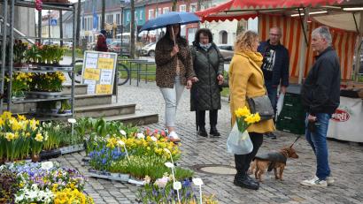Bild: jr
Zuweilen trostlos sah es am Sonntagnachmittag auf dem Mitterteicher Ostermarkt aus. Bei Nieselregen verliefen sich die wenigen Besucher zwischen den Verkaufsständen.