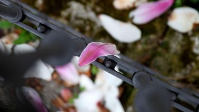 Bild: Karl-Josef Hildenbrand/dpa
Nach einer frühlingshaften ersten Aprilwoche macht sich Regen breit.