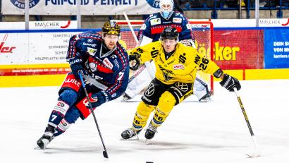 Bild: Elke Englmaier
Der Ex-Weidener Daniel Bruch (rechts, im Duell mit Luca Gläser) steht mit den Krefeld Pinguinen im Play-off-Finale.