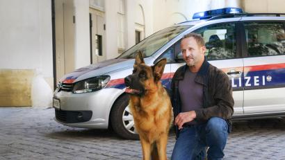 Bild: Petro Domenigg/Sat.1/dpa
Rex ermittelt wieder in Wien.