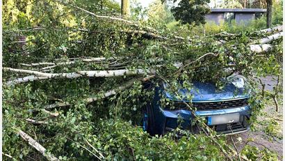 Bild: Jens Dudziak/dpa
Bäume, die auf Autos stürzen, und andere Naturgefahren durch Unwetter richteten vergangenes Jahr deutlich weniger Schäden an. (Archivbild)