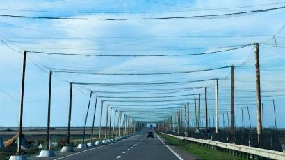 Bild: Efrem Lukatsky/AP/dpa
Netze über den Strtaßen bei Cherson sollen russische Drohnen abhalten. (Archivbild)