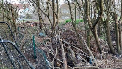 Bild: Susanne Uschold/Stadt Amberg
Die illegalen Grüngutablagerungen in der Othmayrstraße sind der Stadt Amberg ein Dorn im Auge. Sie verursachen zusätzlichen Aufwand und Kosten und beschädigen einen Zaun.