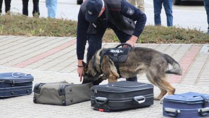 Bild: Hauptzollamt Regensburg
Das Hauptzollamt Regensburg lädt am Samstag, 18. April, zu einem Informationstag ein. Zu sehen gibt es auch den Einsatz von Spürhunden.