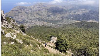 Bild: Manuel Meyer/dpa-tmn
Ein deutscher Wanderer ist auf Mallorca in den Tod gestürzt.