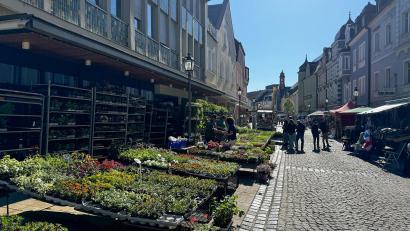 Bild: Stadt Marktredwitz/Pauline Manzke
Marktredwitz lädt am 26. April zum Frühjahrs-Shopping-Sonntag ein.