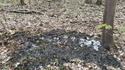 Bild: Marchsreiter, PI Schwandorf
Am Kreuzberg wurde eine Brandstelle entdeckt. Die Polizei sucht Zeugen.