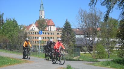 Archivbild: fz
Der Aktionstag "Radln" auf dem Bocklradweg (im Hintergrund Pleystein) findet zum dritten Mal statt. An acht Einkehrstationen warten auf die Radler Unterhaltung und Verpflegung.