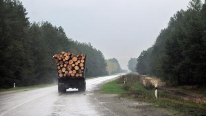 Symbolbild: Andreas Stein/dpa
Die Polizei stoppte überladene Holztransporter in Bärnau und Plößberg.