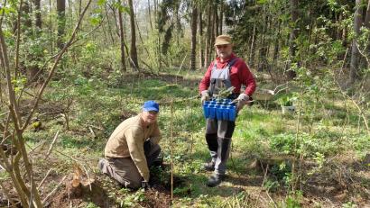 Bild: Rainer Knoll
Vorsitzender Reinhold Wilterius (links) und sein Stellvertreter Rainer Knoll bei der Aktion des Bund Naturschutz.