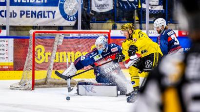 Archivbild: Tobias Neubert
Max Newton (Mitte) und die Krefeld Pinguine sind auf dem besten Weg zurück in die DEL.