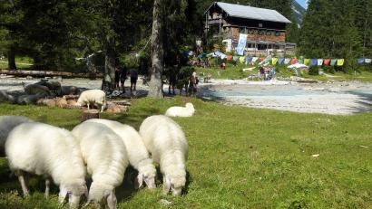 Bild: Angelika Warmuth/dpa
Der tragische Unfall ereignete sich unweit der Reintalangerhütte des Alpenvereins. (Archivbild)