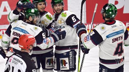 Bild: Federico Gambarini/dpa
Die Eisbären Berlin stehen erneut im DEL-Finale.