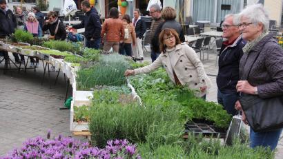 Bild: Konrad Rosner
Die große Auswahl an Kräuter- und Gemüsepflanzen an diesem Stand war ein Treffpunkt für die Marktbesucher.