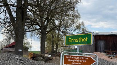 Bild: Susanne Forster
Auf einem bestehenden Hofareal in Ernsthof werden zwei alte Scheunen und ein Garagenbau abgebrochen. Als Ersatz wird anstelle der alten Scheune an der südlichen Grundstücksgrenze eine neue Lager- und Unterstellhalle errichtet, die verschiedene Fahrzeuge und Geräte beherbergen soll.
