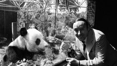 Bild: Pa/PA Wire/dpa
Der Biologe Desmond Morris - hier eine Aufnahme von 1981 - wurde mit seinem Buch „Der nackte Affe“ weltbekannt.