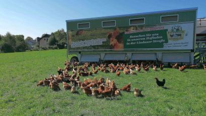 Bild: Daniela Hirn
Wiese adieu: Nach dem Geflügelpest-Ausbruch in Oberviechtach ist es auch für diese Hühner am Bauernhof Hirn in Schönsee mit der Freilandhaltung erstmal vorbei.