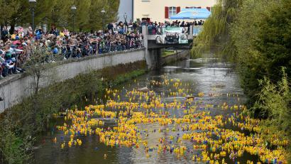 Bild: Petra Hartl
Entenrennen Amberg 2023 Plastikenten in der Vils
