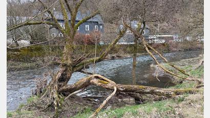 Bild: Berthold Stamm/dpa
Das Kind war im Wasser der Sieg treibend aufgefunden worden - nun ist es gestorben. (Archivbild)