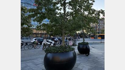 Bild: Bernd Sommer
Solche überdimensionalen Blumentöpfe wie hier in Kopenhagen sollen künftig in Waldsassen am Johannisplatz und in kleinerer Ausführung am Basilikaplatz stehen. Über das "mobile Grün" im Innenstadtbereich gab es in der Sitzung des Stadtrats eine angeregte Diskussion.