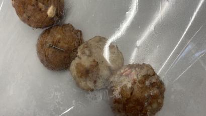 Symbolbild: Polizei Amberg
In Poppenricht sind Hackfleischbällchen gefunden worden. Könnte es sich um Giftköder handeln, wie hier in Hirschau?