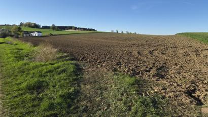 Bild: sne
Bei Kirchendemenreuth soll bald das Wohngebiet "Leite" entstehen.