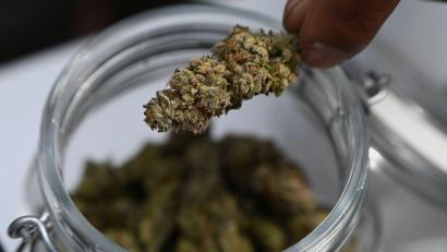 Bild: Michael Brandt/dpa
Mehr als sieben Kilo Marihuana stellte die Polizei bei dem Einsatz sicher. (Symbolbild)