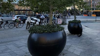 Bild: Bernd Sommer
Solche überdimensionalen Blumentöpfe wie hier in Kopenhagen sollen künftig in Waldsassen am Johannisplatz und in kleinerer Ausführung am Basilikaplatz stehen. Über das "mobile Grün" im Innenstadtbereich gab es in der Sitzung des Stadtrats eine angeregte Diskussion.