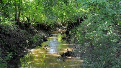 Archivbild: Stephan Huber
Der Ammerbach (hier in Höhe der Wingershofer Straße in Amberg) ist bei wenig Wasser ein gemütliches Rinnsal. Dennoch tritt er gelegentlich über die Ufer. Bei der Stadt Amberg wurden jetzt die Überschwemmungsgebiete für den Ammer- und Fiederbach festgelegt.