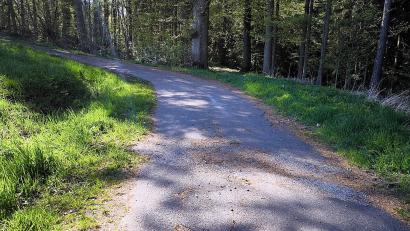 Bild: jma
Ein Feldweg oberhalb von Preißach soll nun vom Bauhof teilweise instandgesetzt werden.