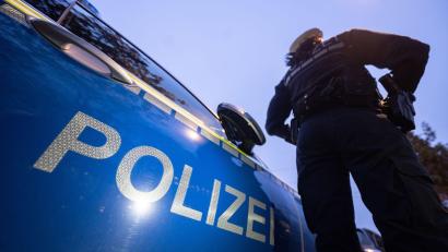 Bild: Marijan Murat/dpa
Mit einem Streifenwagen wird die Hundedame in ein Tierheim gebracht. (Symbolbild)