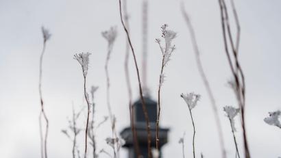 Bild: Andreas Arnold/dpa
Das Wetter zum Wochenende wird wechselhaft.