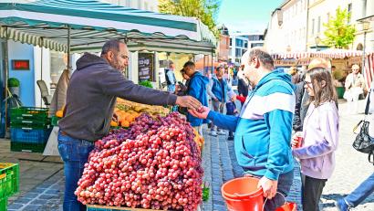 Bild: Florian Miedl
Da läuft einem das Wasser im Mund zusammen: haufenweise frisches Obst.