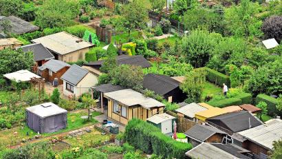Symbolbild: Hendrik Schmidt
Von den jahrelangen kriminellen Machenschaften in ihrem Vereinsvorstand hatten die anderen Kleingärtner keine Ahnung.