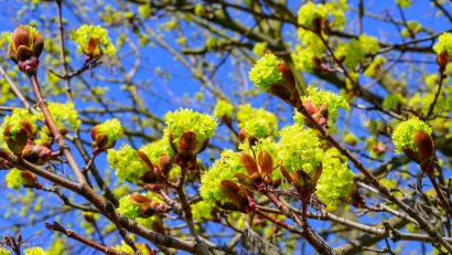Bild: Patrick Pleul/dpa
Tagsüber soll es freundlich werden. (Symbolbild)