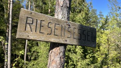 Bild: dob
Die anspruchsvolle Rundwanderung von Kößing zur Pfreimd am 14. Juni führt auch am Riesensessel vorbei.