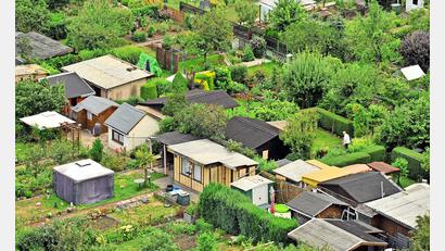 Symbolbild: Hendrik Schmidt
Von den jahrelangen kriminellen Machenschaften in ihrem Vereinsvorstand hatten die anderen Kleingärtner keine Ahnung.