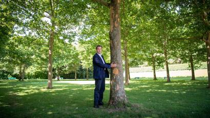Bild: Peter Kneffel/dpa
Dieses Foto verfolgt Markus Söder seit seiner Aufnahme 2020: Damals umarmte der bayerische Ministerpräsident einen Baum in München um zu zeigen, wie wichtig ihm der Klimaschutz ist. Nun hat Söders Kabinett die Klimaneutralität von 2040 auf 2045 verschoben. (Archivbild)