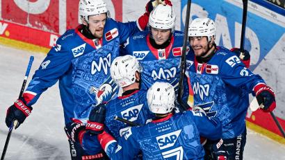 Bild: Uwe Anspach/dpa
Den Adler Mannheim fehlt noch ein Erfolg für den Einzug ins Playoff-Halbfinale. (Archivbild)