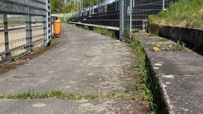 Bild: Petra Hartl
Die sogenannte Sportplatzbarriere inklusive Zaun und Weg im Amberger Stadion am Schanzl muss dringend erneuert werden. Das passiert jetzt im Zuge der Sanierung der Leichtathletikanlage.