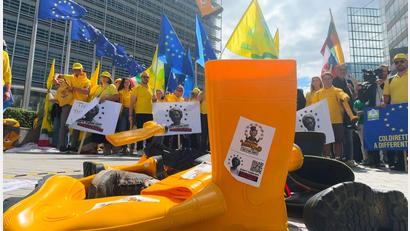 Bild: Sylvain Plazy/ap/AP/dpa
Die EU-Abgeordneten wollen Europas Landwirten mehr Geld fest zusagen. (Archivbild)