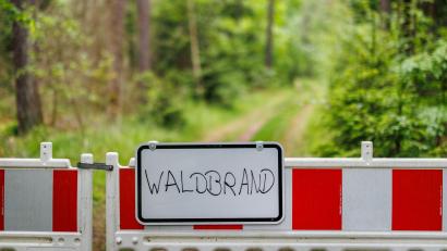 Bild: Daniel Karmann/dpa
Die Waldbrand-Gefahr in Bayern ist schon jetzt hoch. (Symbolbild)