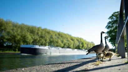 Bild: Fabian Strauch/dpa
Viel Sonne und Temperaturen über 20 Grad sind in den nächsten Tagen zu erwarten.