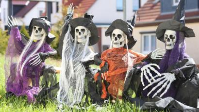 Bild: Matthias Bein/dpa
Die Vorbereitungen auf die Walpurgisnacht laufen bereits. (Archivbild)
